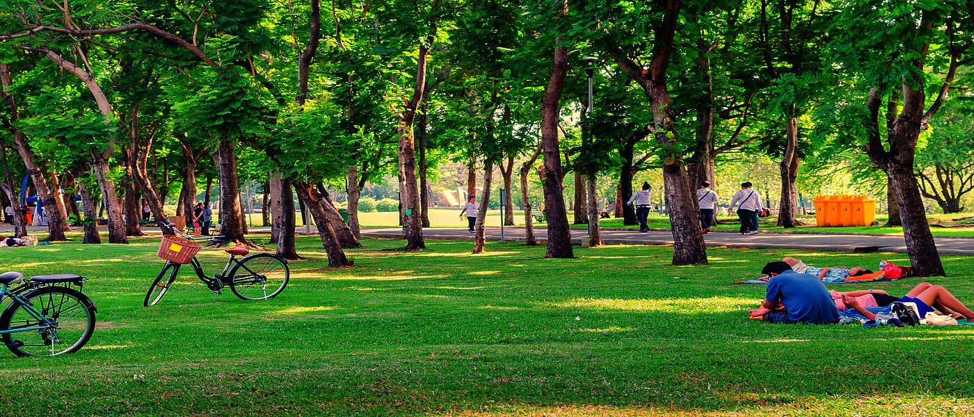 Park 