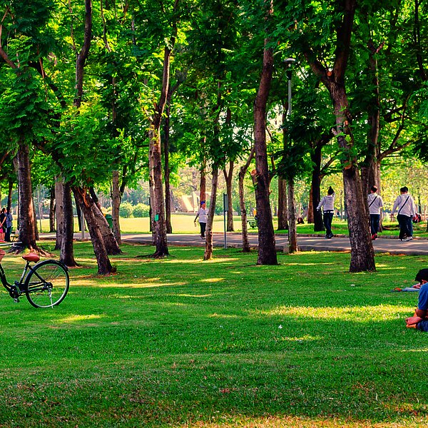 Park 